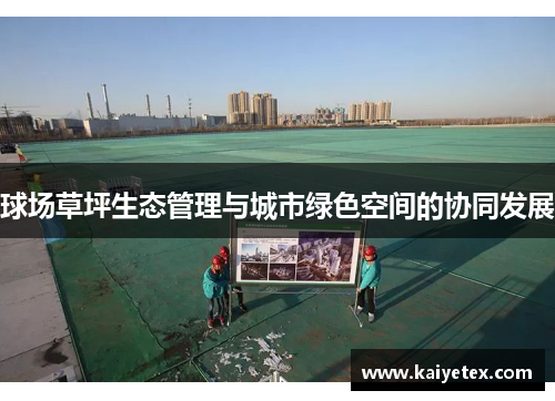 球场草坪生态管理与城市绿色空间的协同发展
